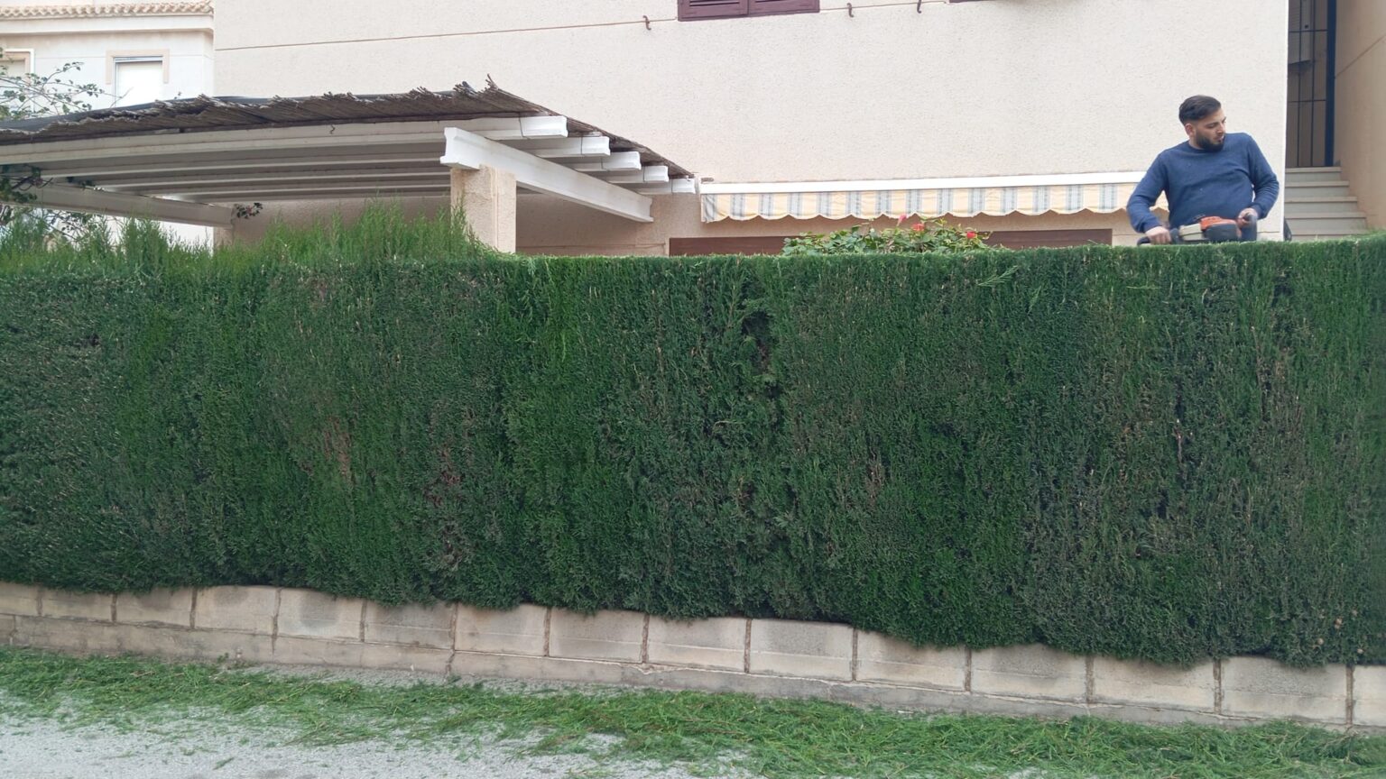 Trabajos de jardinería y adecuación de exteriores en Orihuela Costa